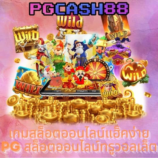 all slot wallet 789